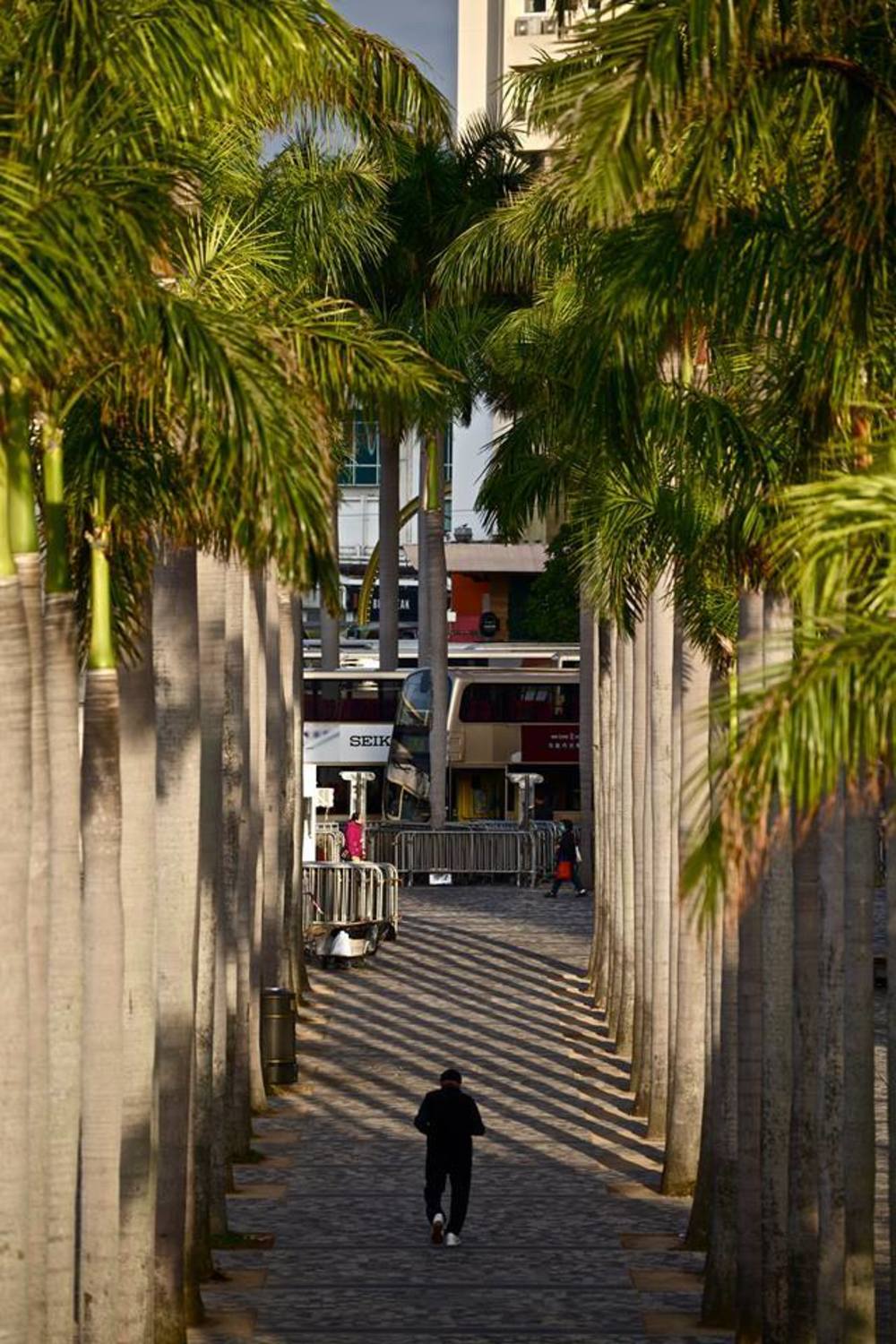 香港・100万ドル後の朝活の写真8