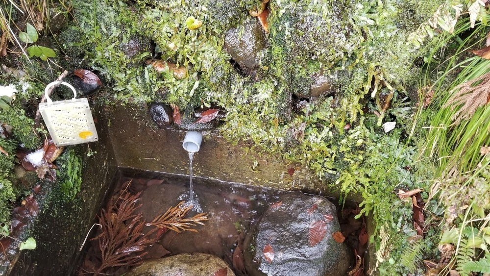 【14.5km】上級者にも大満足！ハードに峠を楽しむ五輪峠コースの写真4
