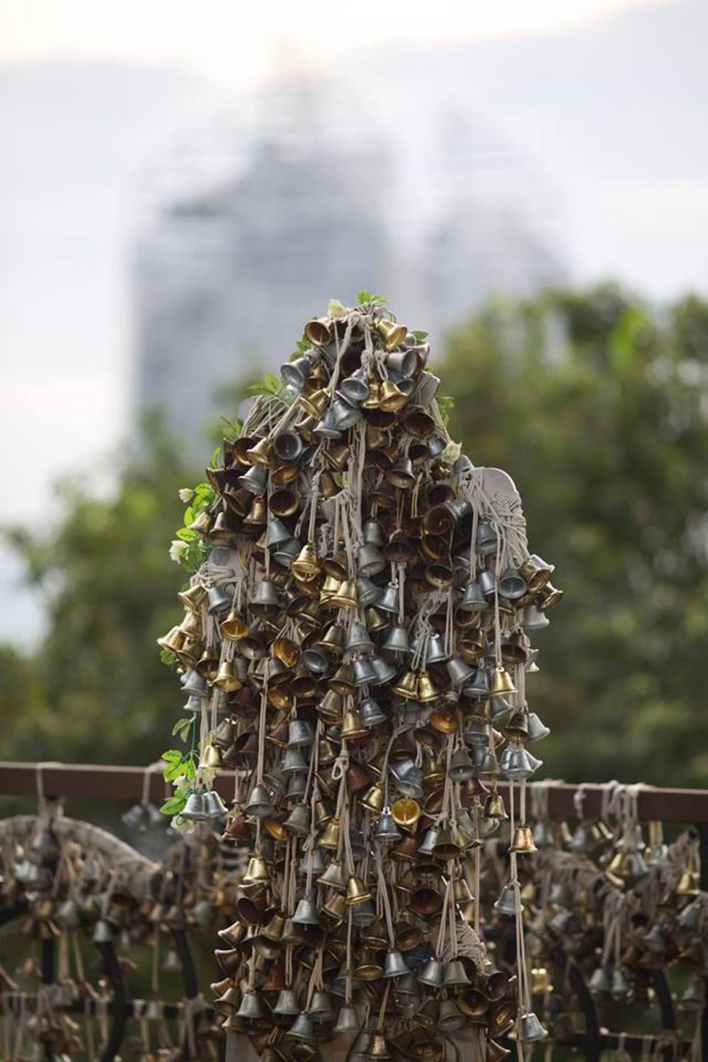 マウントフェーバーからヘンダーソンウェーブへの写真4