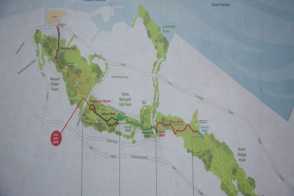 マウントフェーバーからヘンダーソンウェーブへの写真10