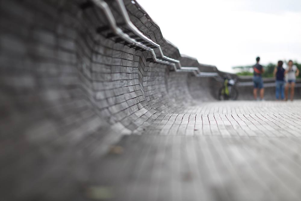 マウントフェーバーからヘンダーソンウェーブへの写真13