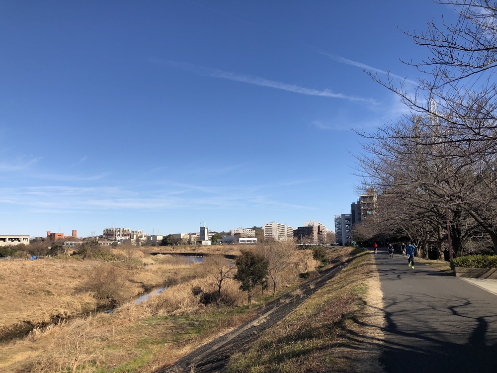 渋谷から電車で20分の温泉ラン！綱島温泉で疲れを癒す14kmのリバー＆パークコースの写真9