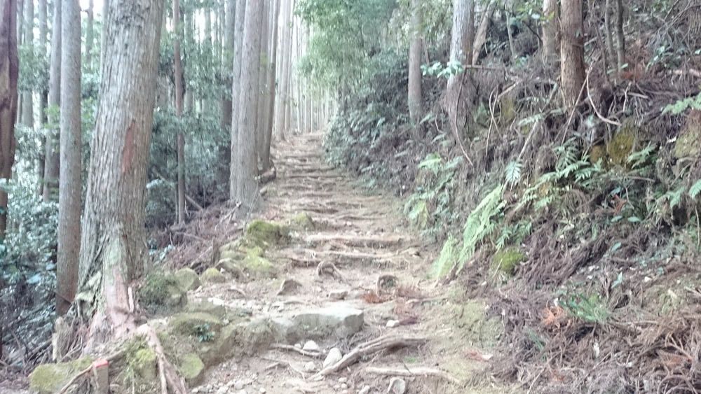 冬の熊野古道　その１（中辺路を行く・大日越）の写真4