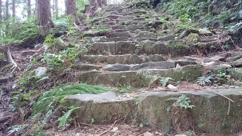 冬の熊野古道　その２（中辺路を行く　小雲取越・大雲取越）の写真5