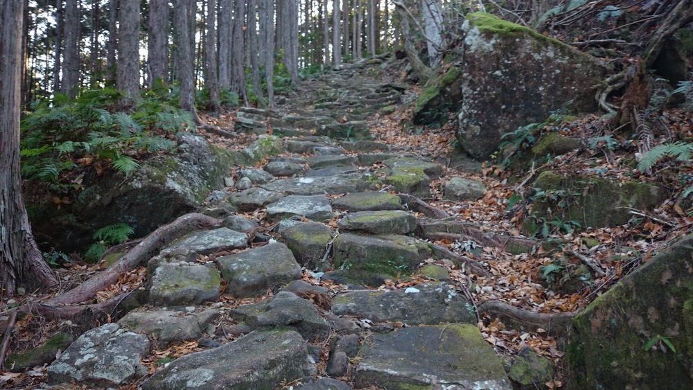 冬の熊野古道　その２（中辺路を行く　小雲取越・大雲取越）の写真6