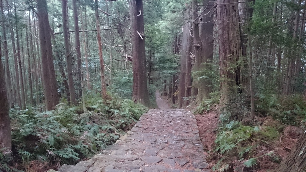 冬の熊野古道　その３（中辺路を行く　那智大社から速玉大社）の写真3