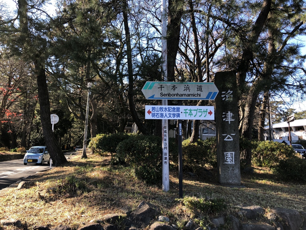 沼津駅-千本松原-田子の浦-前田浜-かりがね堤 30Kmの写真3