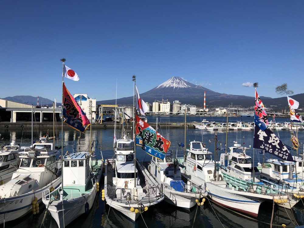 沼津駅-千本松原-田子の浦-前田浜-かりがね堤 30Kmの写真6