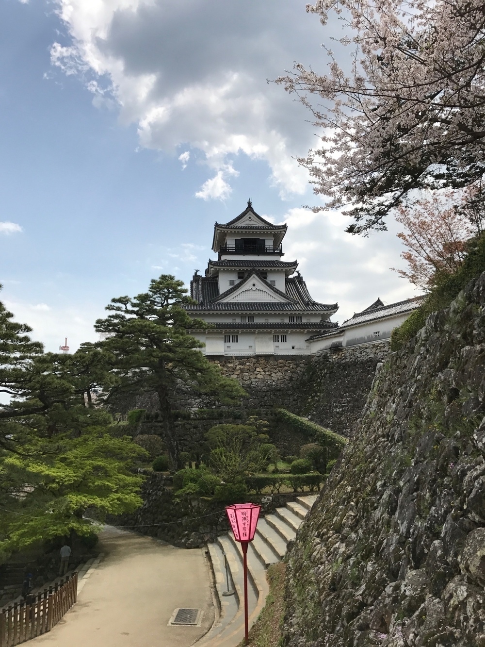 黒潮ライン西コース片道9キロの往復コースの写真6