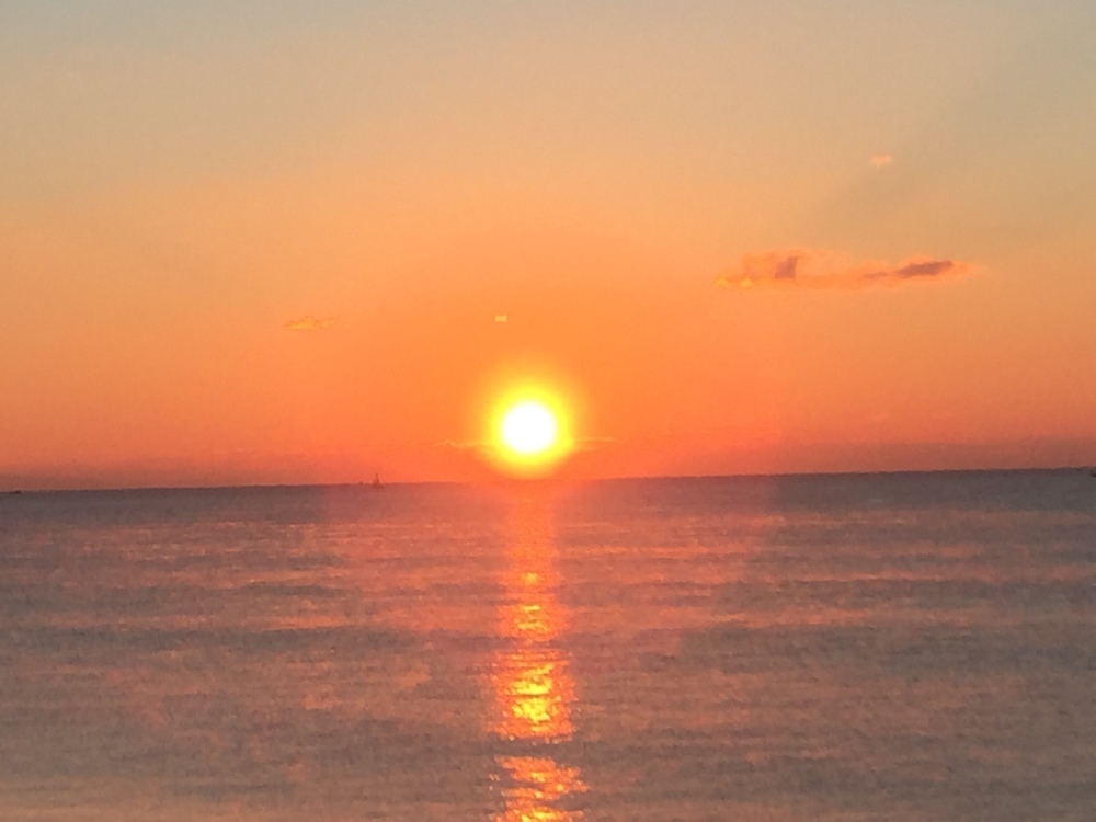 黒潮ライン西コース片道9キロの往復コースの写真8