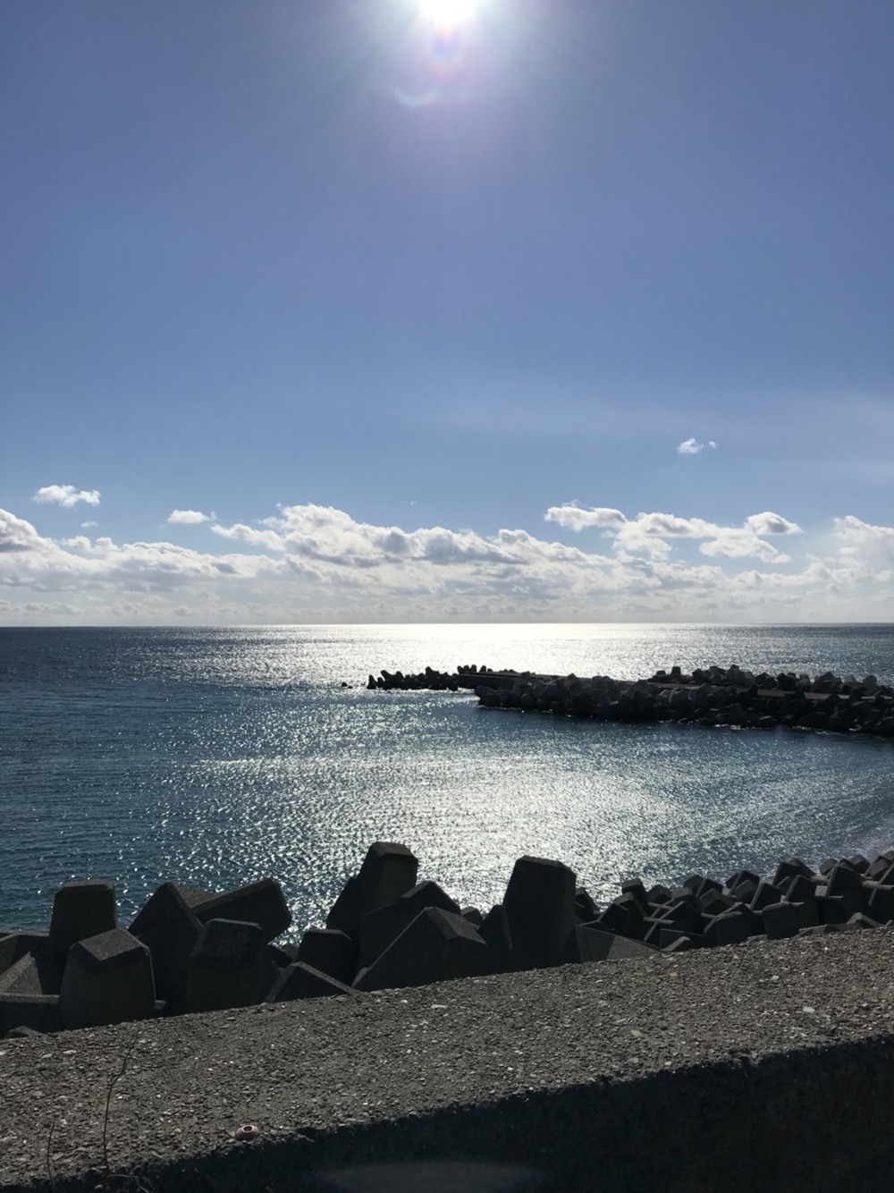 黒潮ライン西コース片道9キロの往復コースの写真9