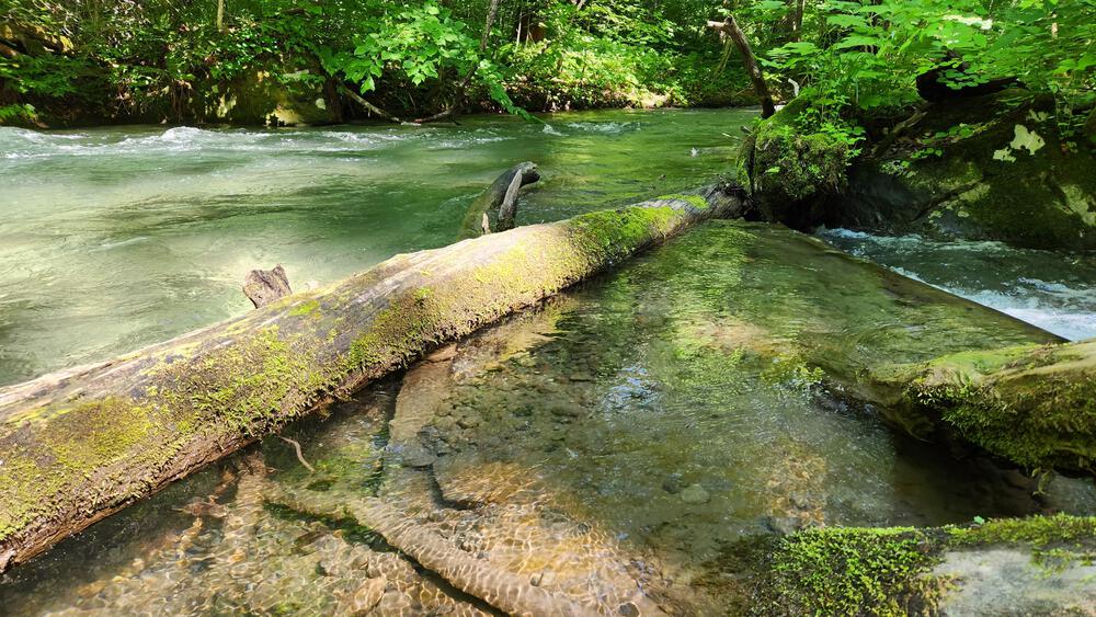 奥入瀬渓流 奥入瀬渓流 ｜東北の観光スポットを探す | 旅東北 - 東北の観光