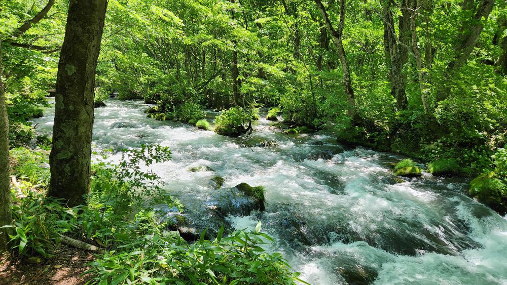 【青森最強】奥入瀬渓流で往復２４キロずっと水と並行して走れる致死量の森林浴コースの写真4