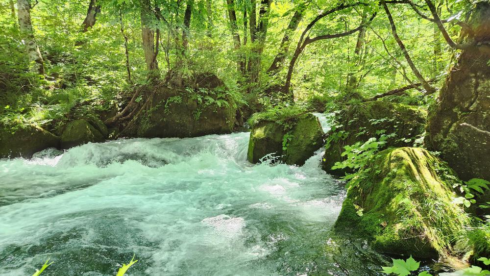 【青森最強】奥入瀬渓流で往復２４キロずっと水と並行して走れる致死量の森林浴コースの写真5
