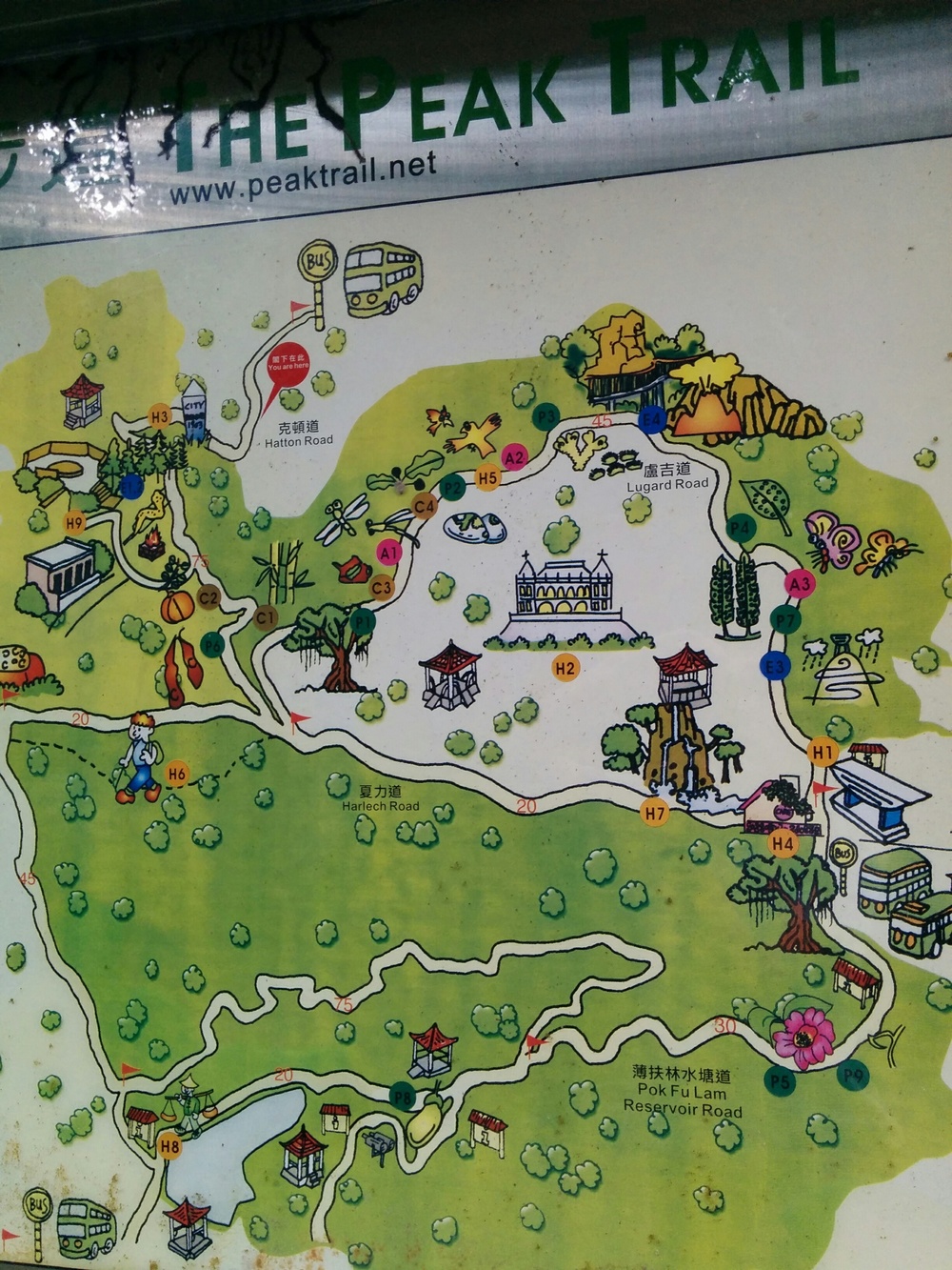 香港シティトレイル・ヴィクトリアピークの写真5