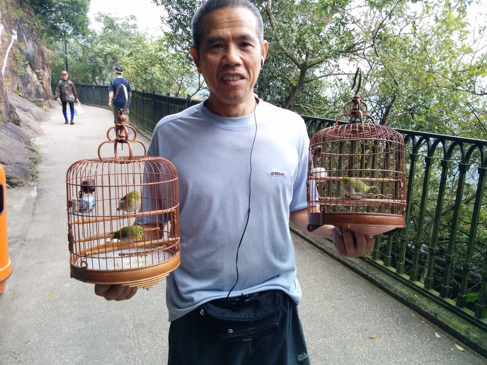 香港シティトレイル・ヴィクトリアピークの写真10