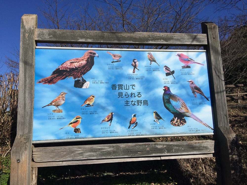 GeoRun(沼津市)の写真6