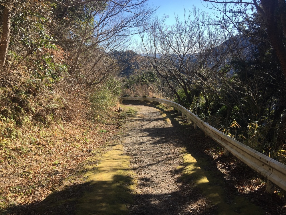 GeoRun(沼津市)の写真11