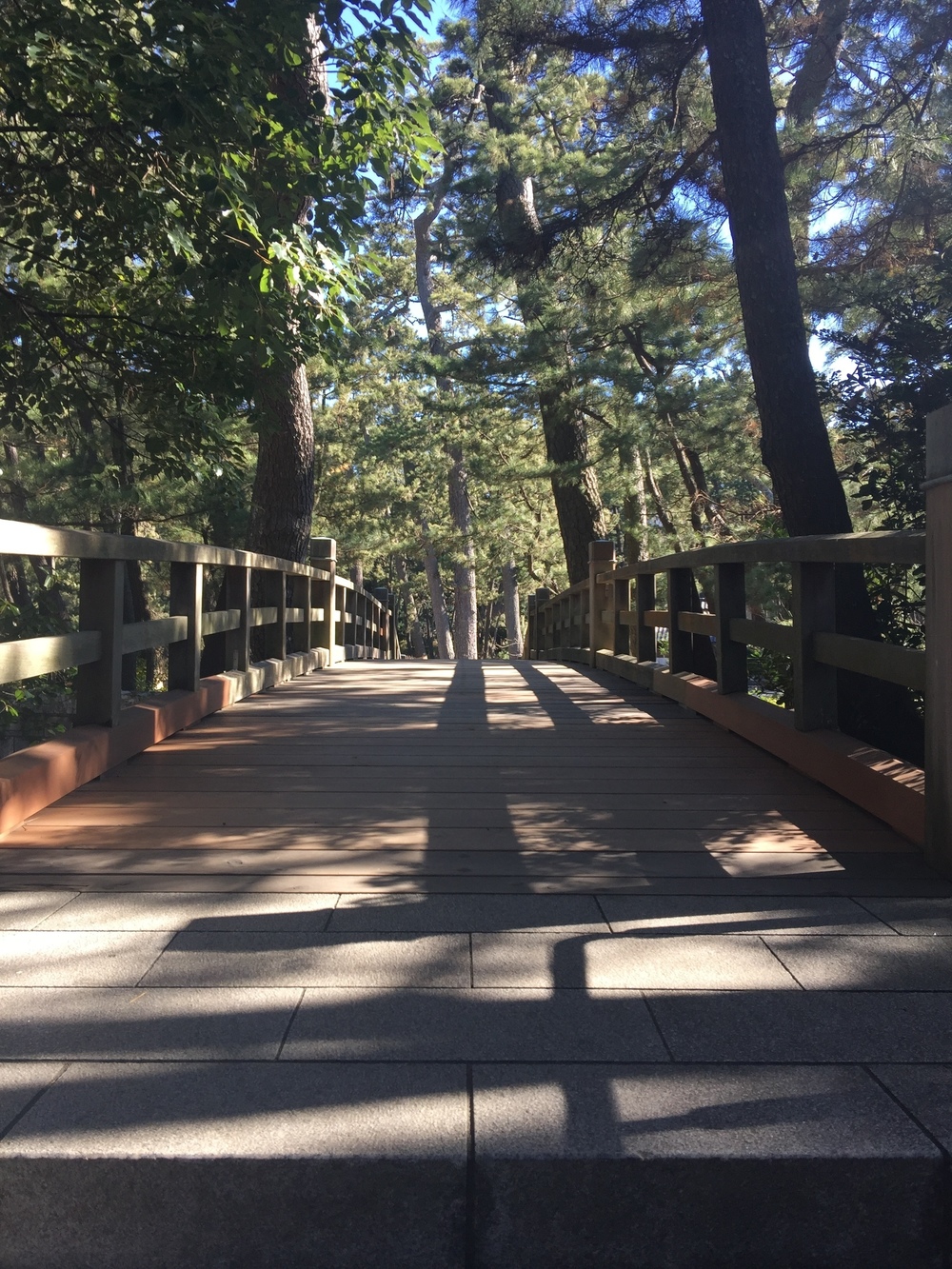 GeoRun(沼津市)の写真15