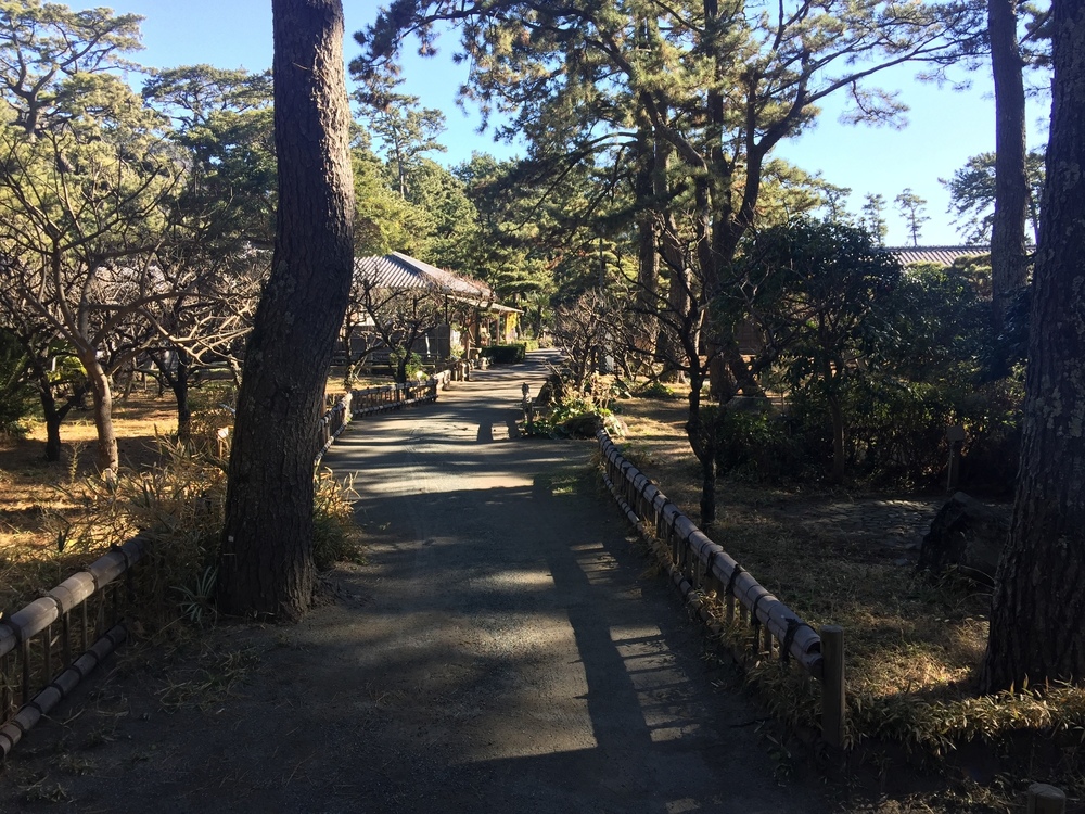 GeoRun(沼津市)の写真16