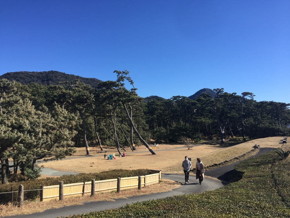 GeoRun(沼津市)の写真17