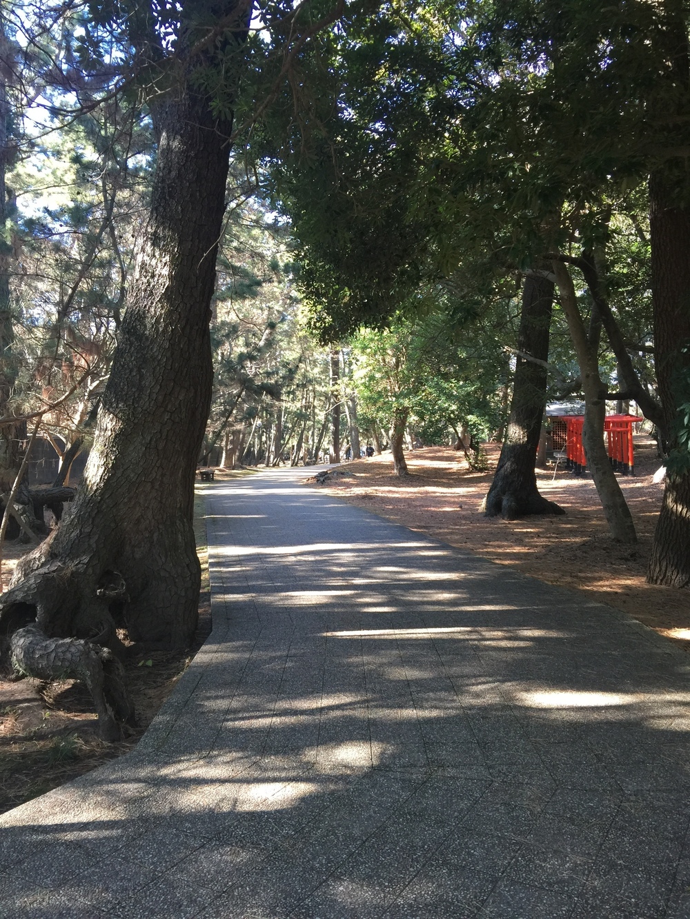 GeoRun(沼津市)の写真18