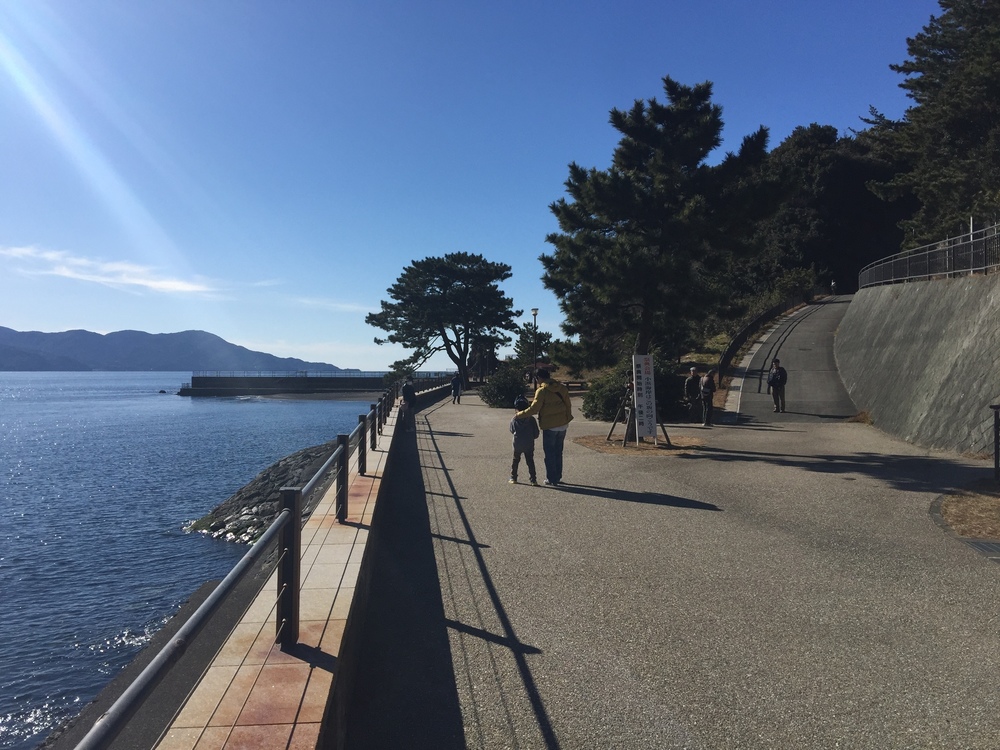 GeoRun(沼津市)の写真21