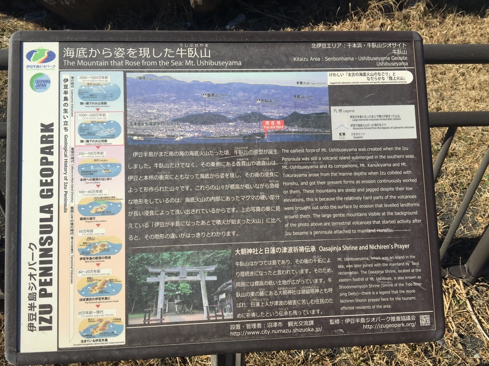 GeoRun(沼津市)の写真24