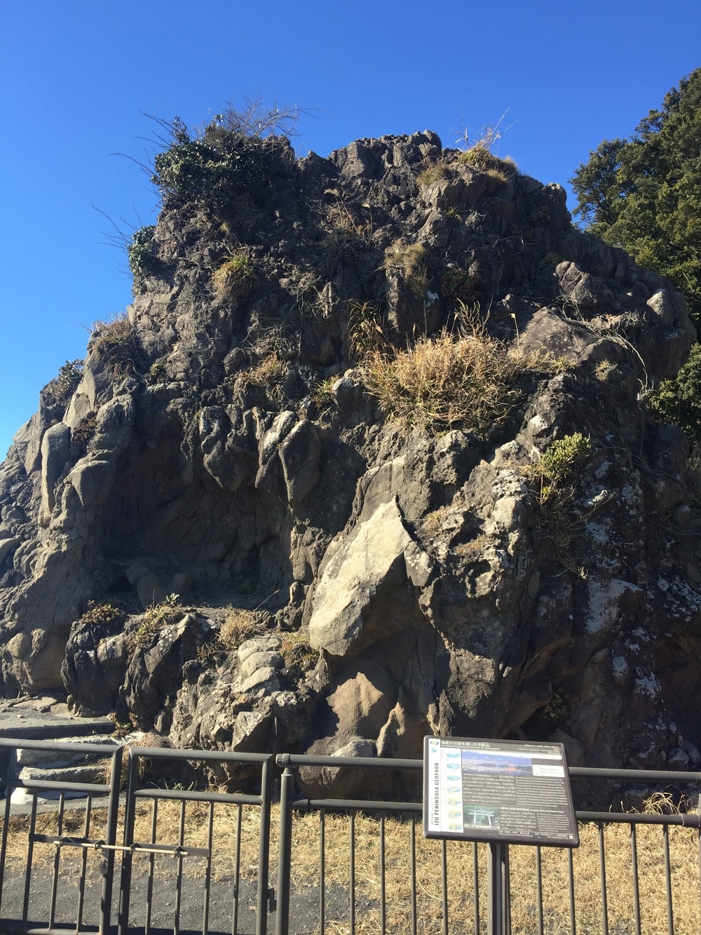 GeoRun(沼津市)の写真25