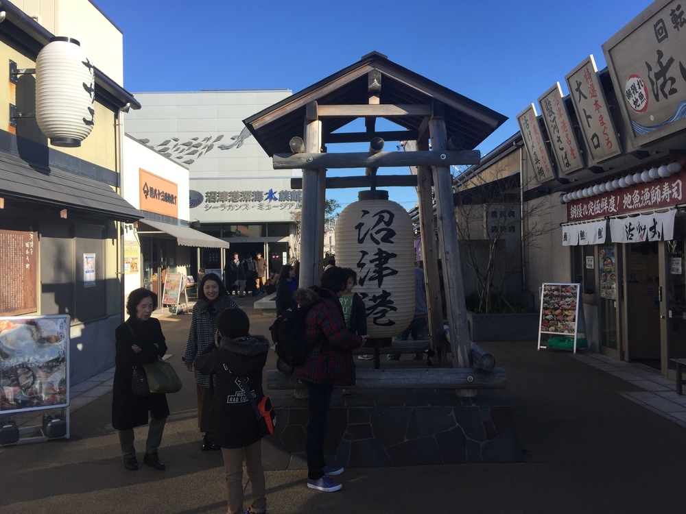 GeoRun(沼津市)の写真28