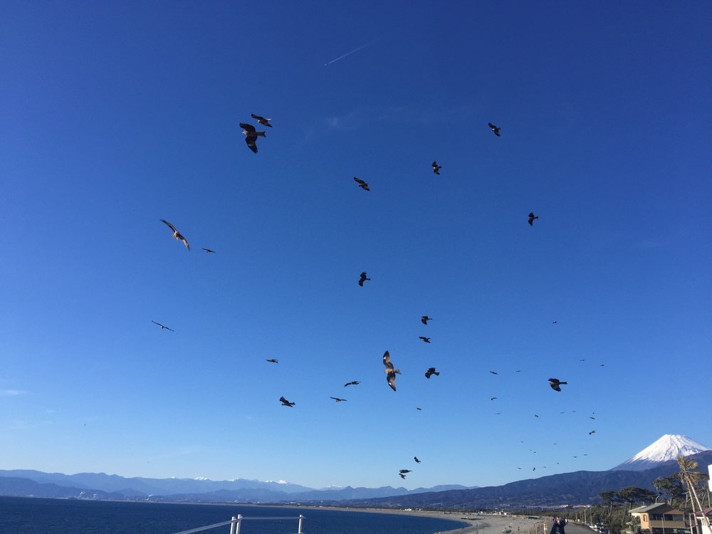 GeoRun(沼津市)の写真30