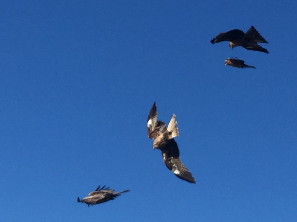 GeoRun(沼津市)の写真31