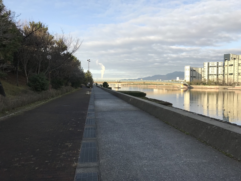 休日朝ランの写真3