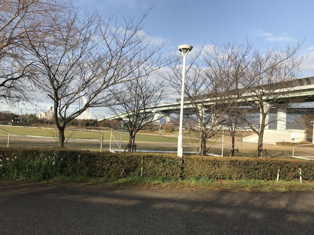 休日朝ランの写真4