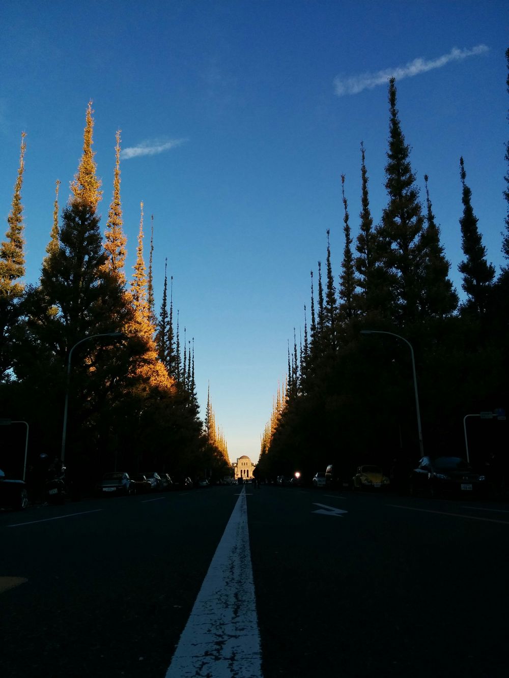 東京ビューティフルスポット①神宮外苑の写真3