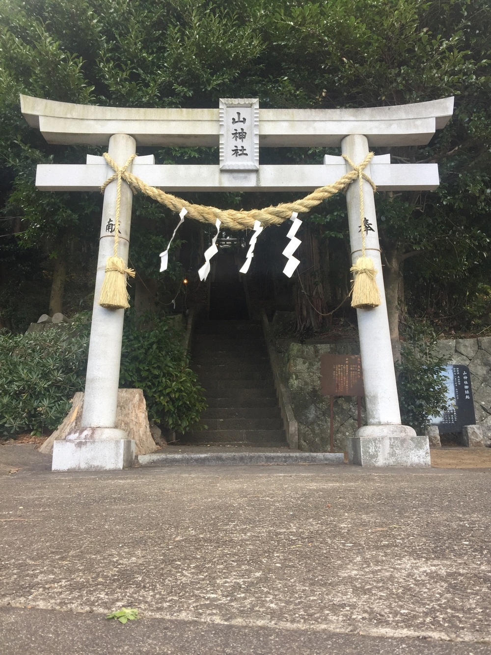 GeoRun(東伊豆町・伊豆稲取)の写真3