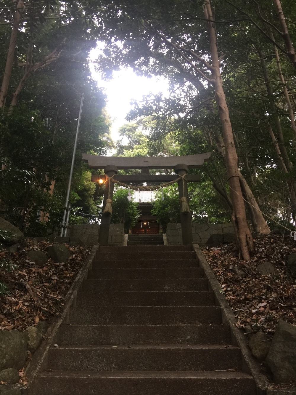 GeoRun(東伊豆町・伊豆稲取)の写真4