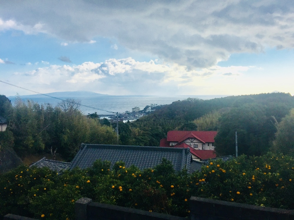 GeoRun(東伊豆町・伊豆稲取)の写真5