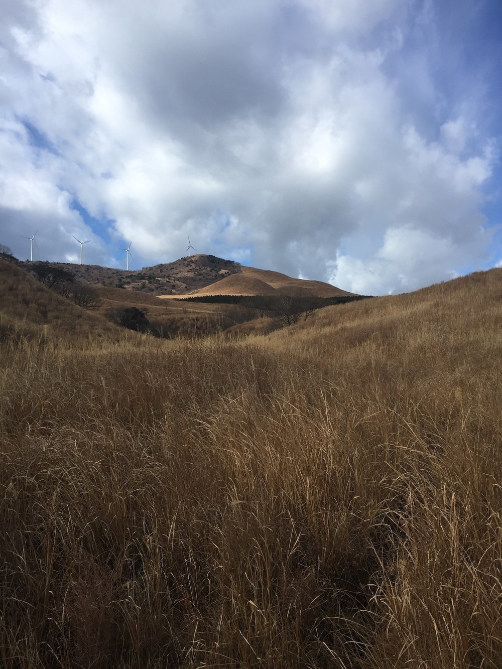 GeoRun(東伊豆町・伊豆稲取)の写真7