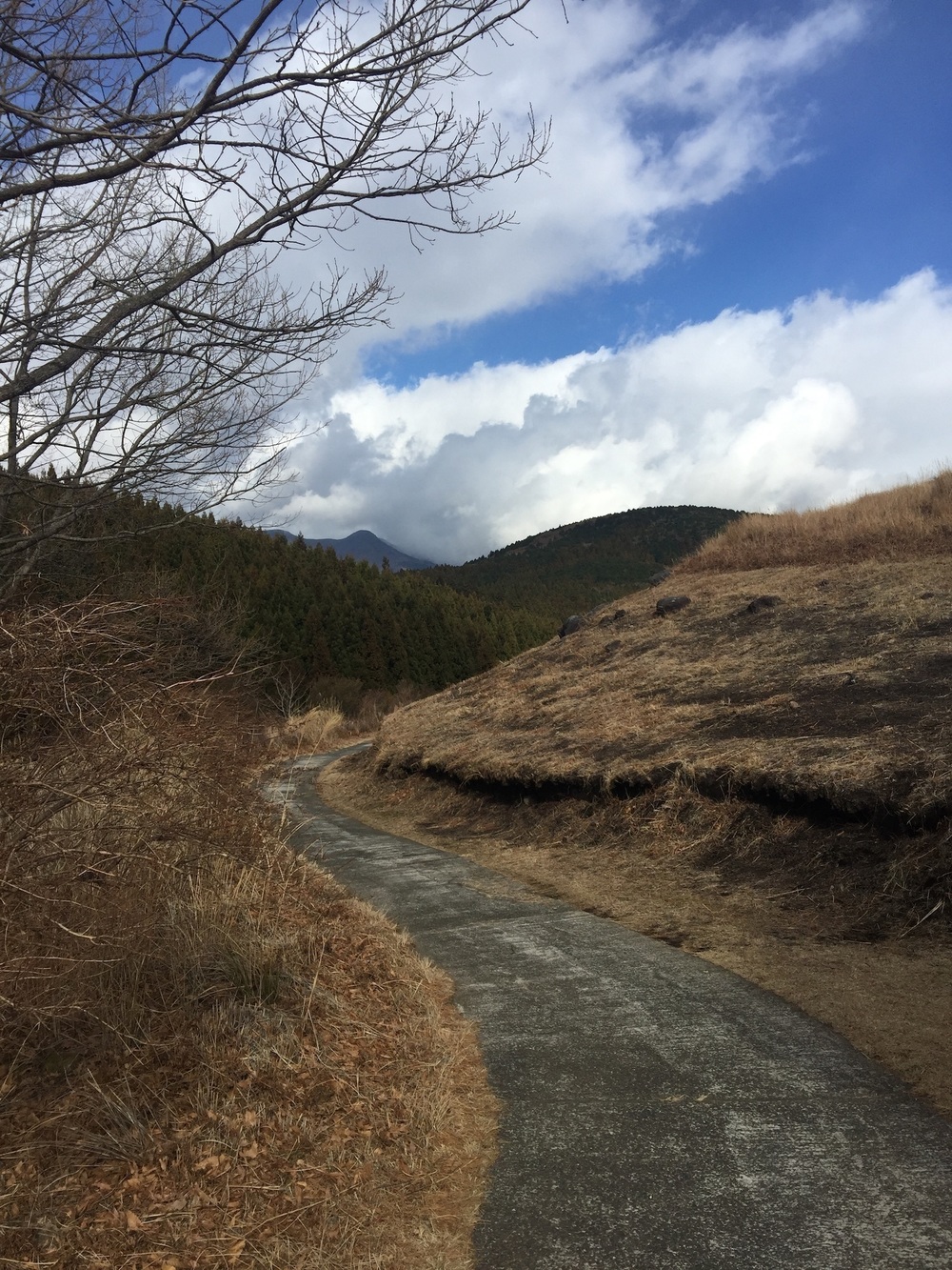 GeoRun(東伊豆町・伊豆稲取)の写真8