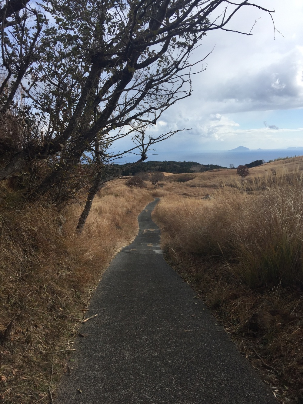 GeoRun(東伊豆町・伊豆稲取)の写真9