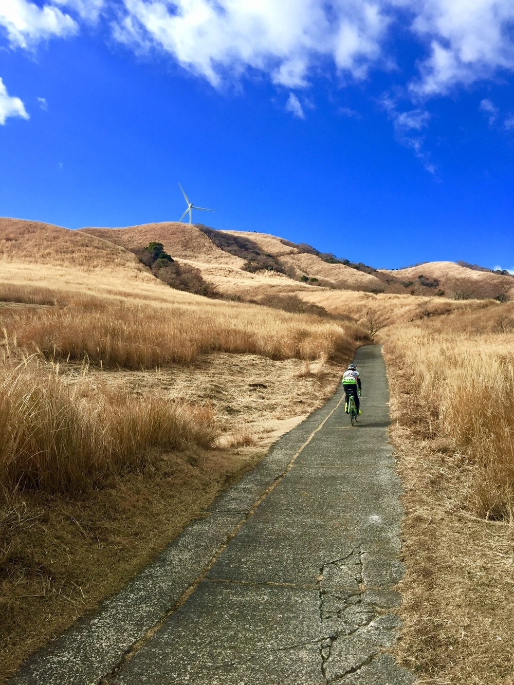 GeoRun(東伊豆町・伊豆稲取)の写真10