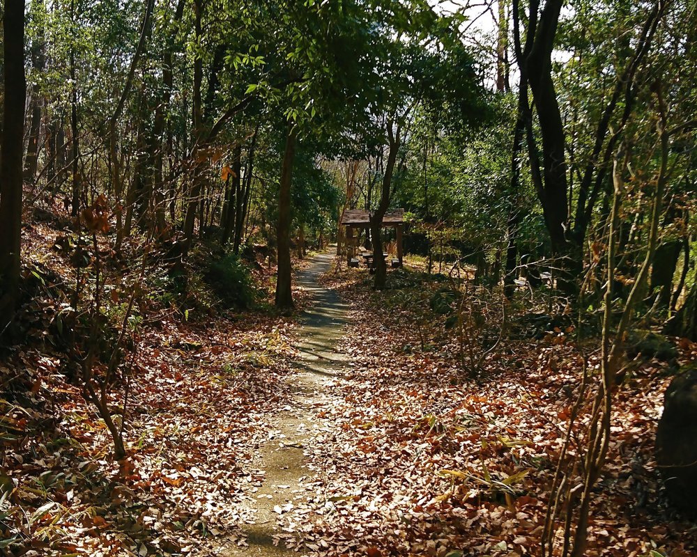武田の杜を探検しよう！～湯村山プチトレイルラン～の写真3