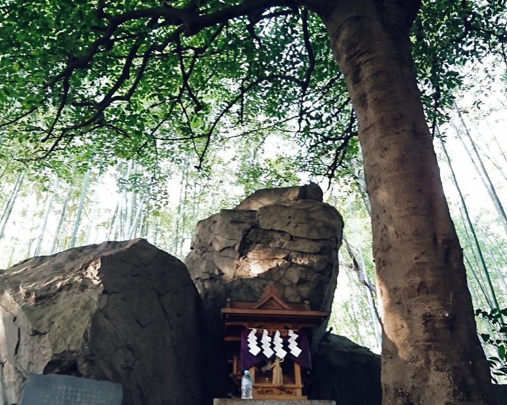 日本一の鳴き龍とパワースポットを訪ねる～甲斐国開運ラン～の写真5
