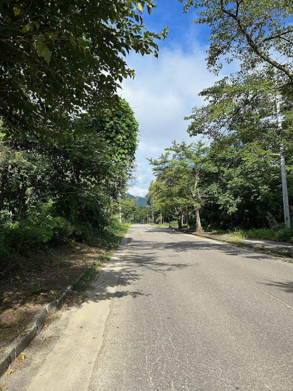 夏の白馬村ランの写真3