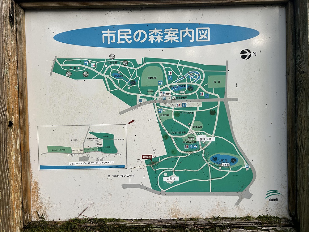 宮崎屈指の神話の舞台を走る。シーガイア〜江田神社・みそぎ池コースの写真11