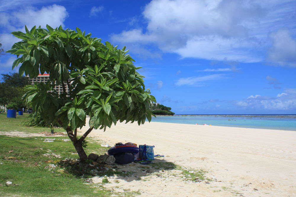 グアムを堪能！ベーシックコースの写真11