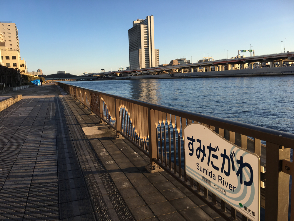 スカイツリーを眺めながら隅田川ランの写真4