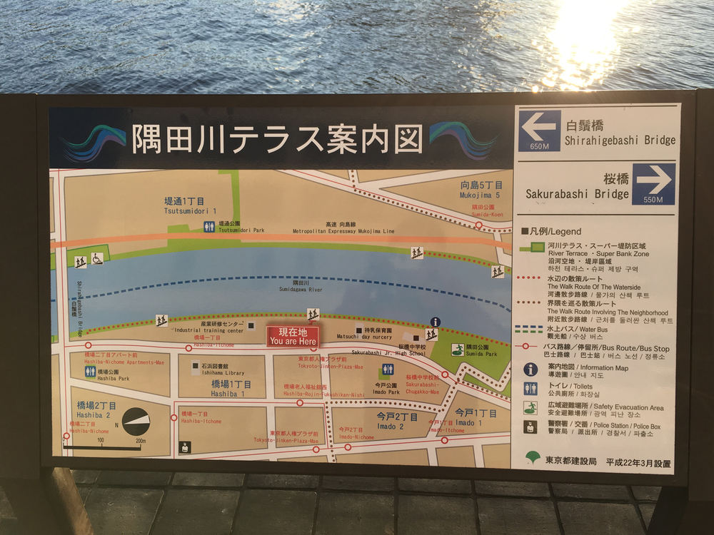 スカイツリーを眺めながら隅田川ランの写真5