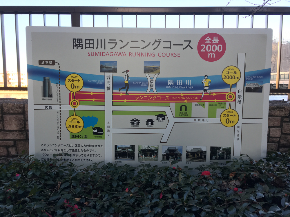 スカイツリーを眺めながら隅田川ランの写真6